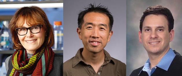 Horizontal portraits of Doug Anderson, Dragony Fu, and Lynne Maquat, scientists who study RNA of viruses.