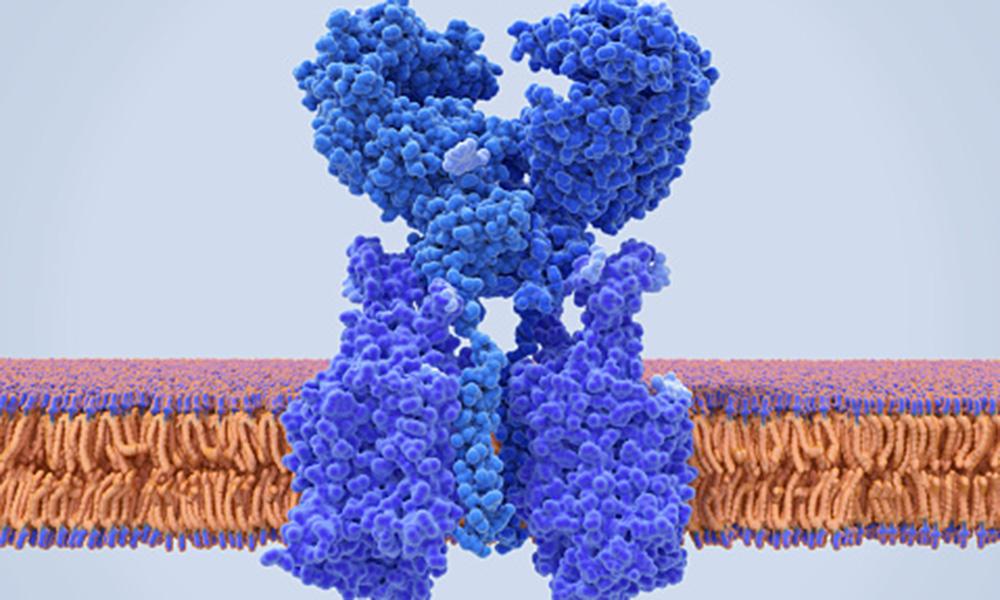illustration of cellular enzyme